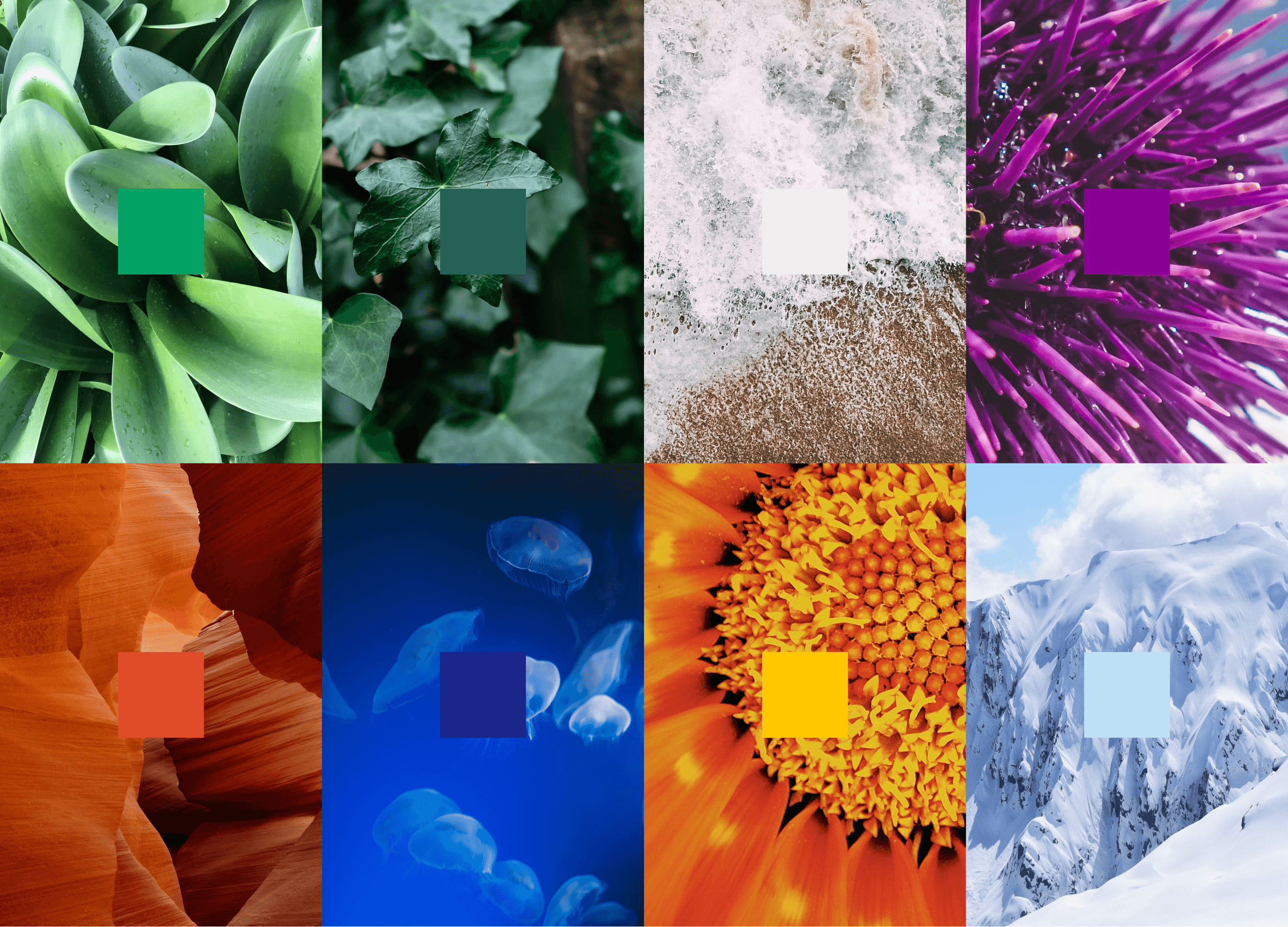 Photography choices were informed by Beavr's color palette